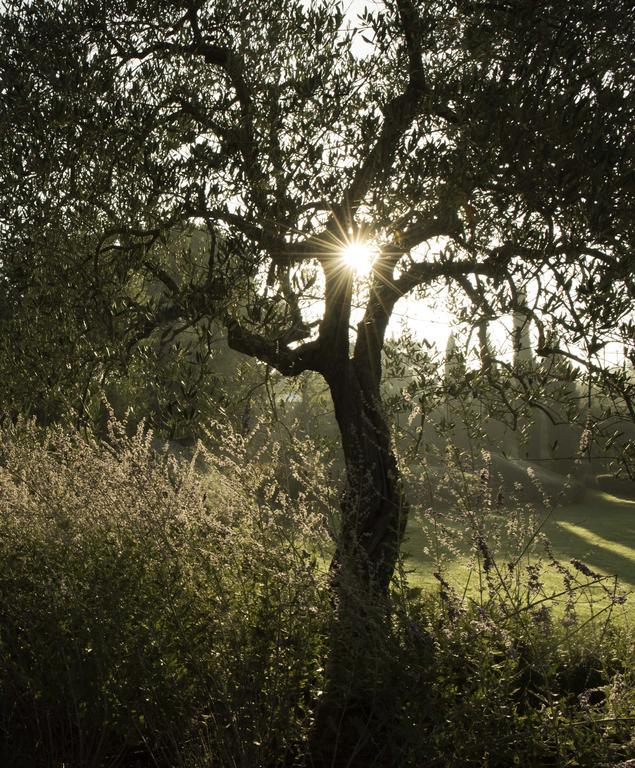 Tenuta Santo Pietro